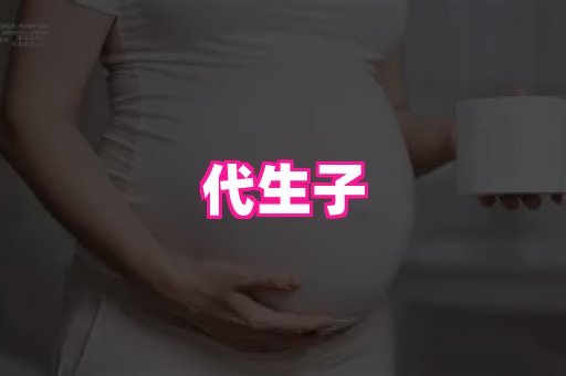 swisee孕网 4